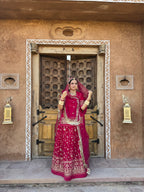 The Crimson Curve - Velvet Poshak