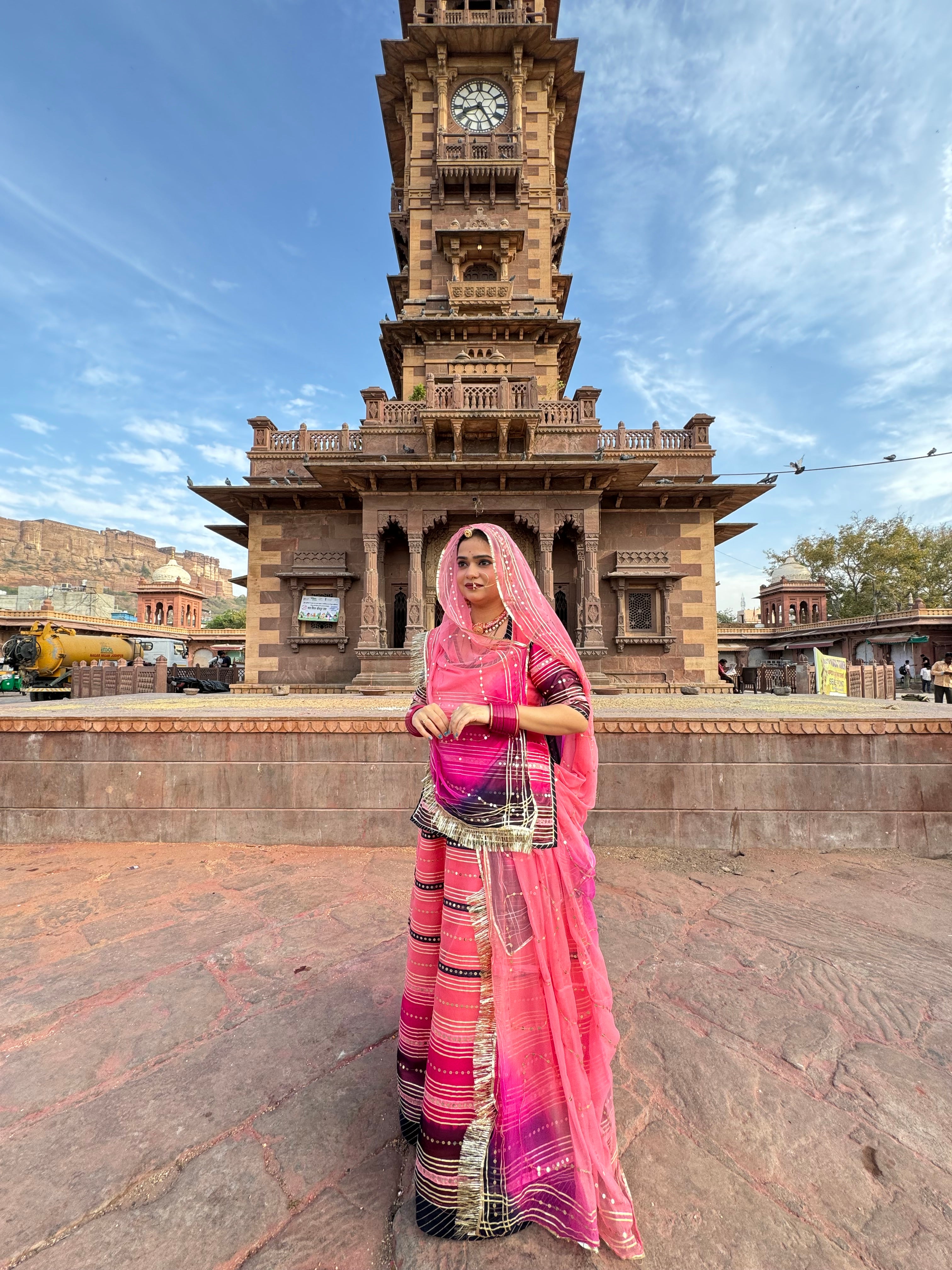 Royal Blush - Organza Poshak With Exquisite Tari Work
