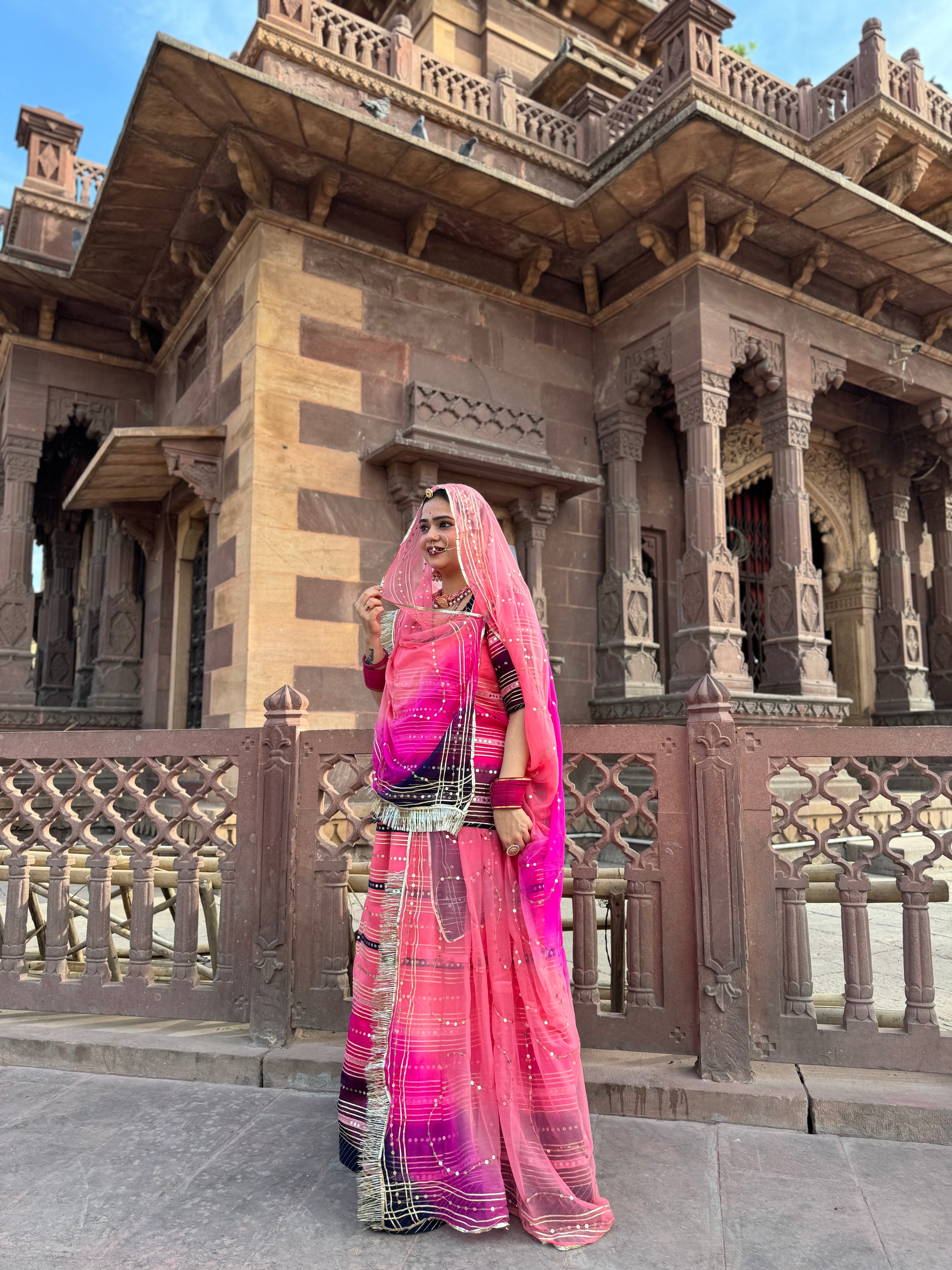 Royal Blush - Organza Poshak With Exquisite Tari Work