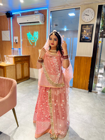 Blushing Elegance: Pink Net Poshak with Sheer Net Odhna(Semi stich)