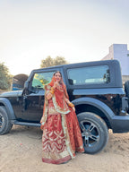 Mocha Veil - Chikoo Colour Imported Net Poshak with Tora Odhna