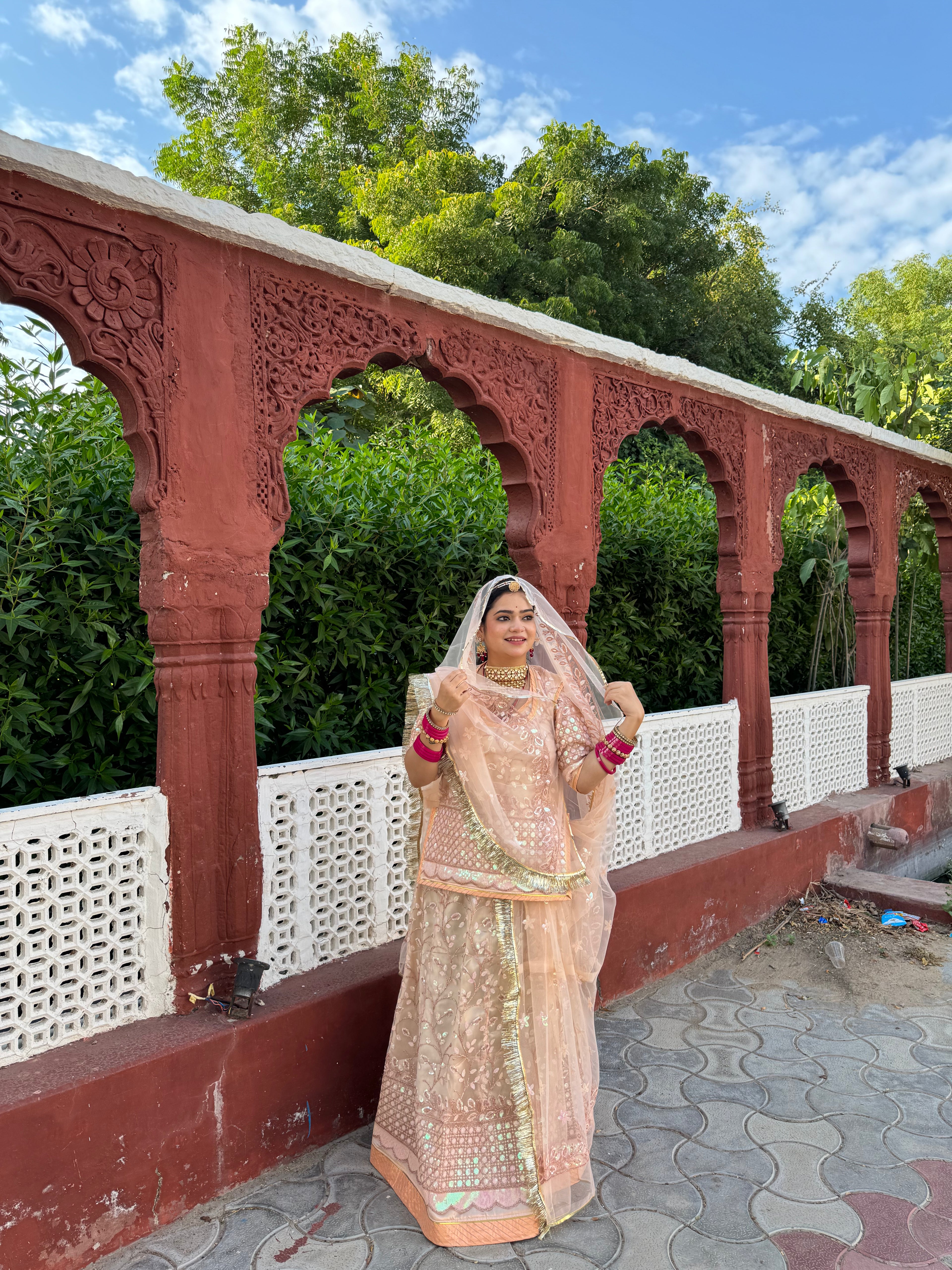 Bindani Blush Elegance: Skin Colour Net Poshak with Net Odhna
