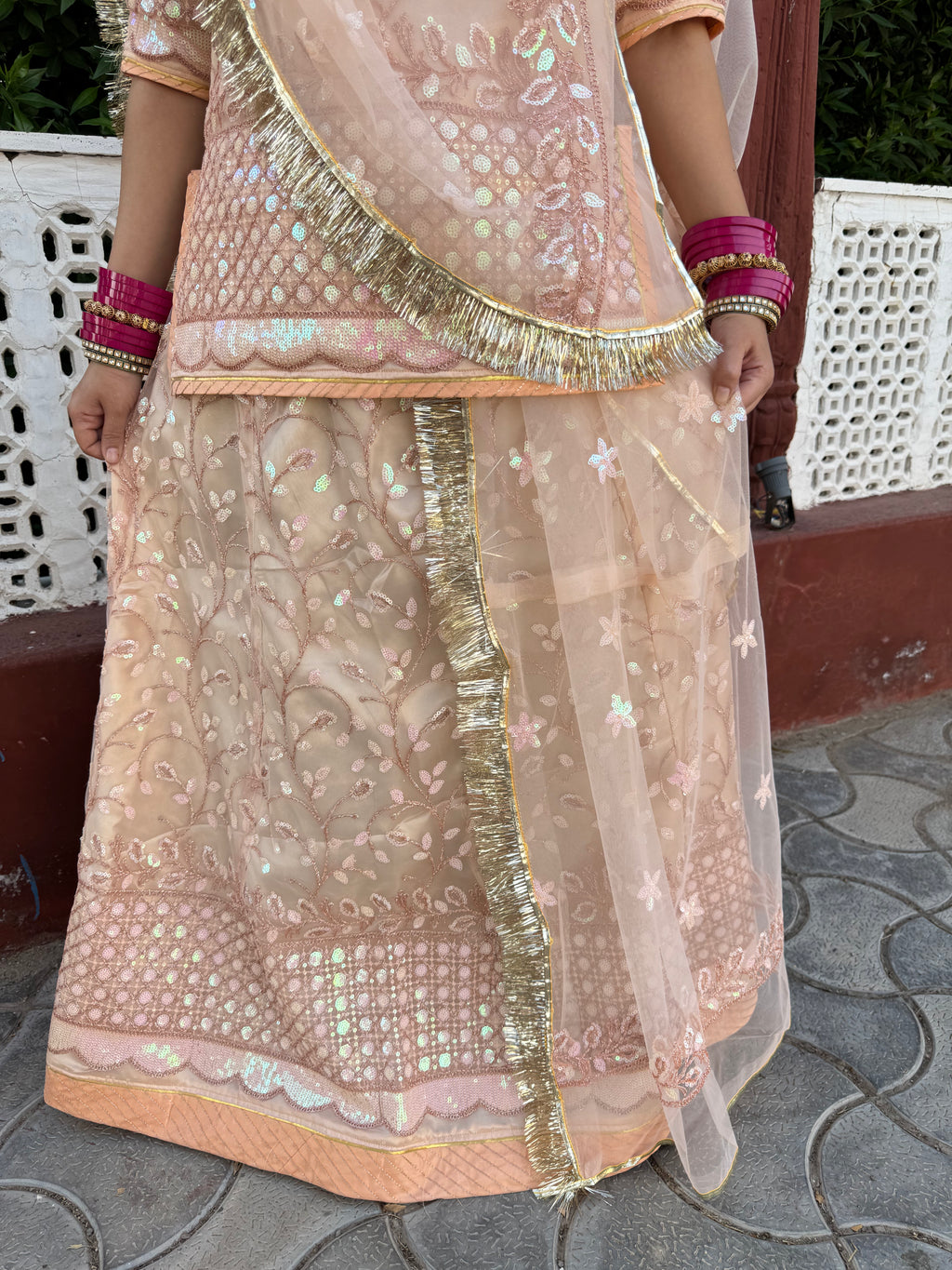 Bindani Blush Elegance: Skin Colour Net Poshak with Net Odhna