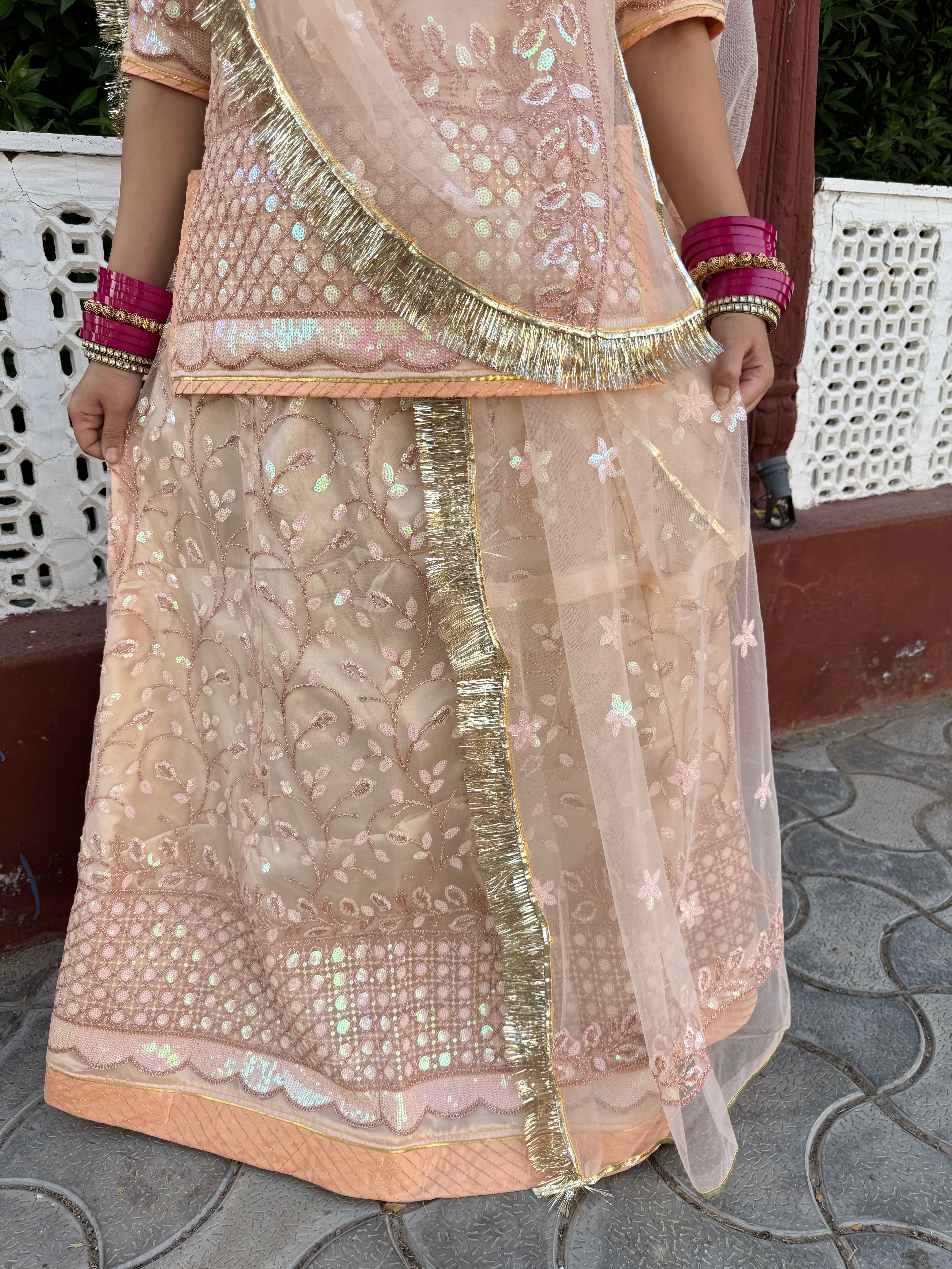 Bindani Blush Elegance: Skin Colour Net Poshak with Net Odhna