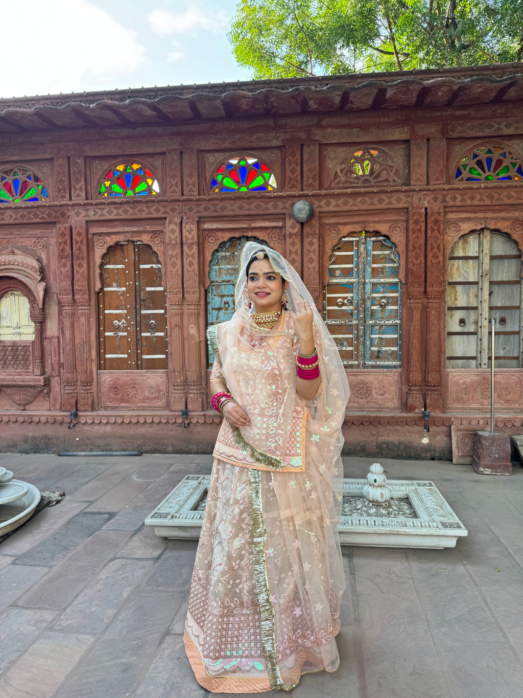 Bindani Blush Elegance: Skin Colour Net Poshak with Net Odhna