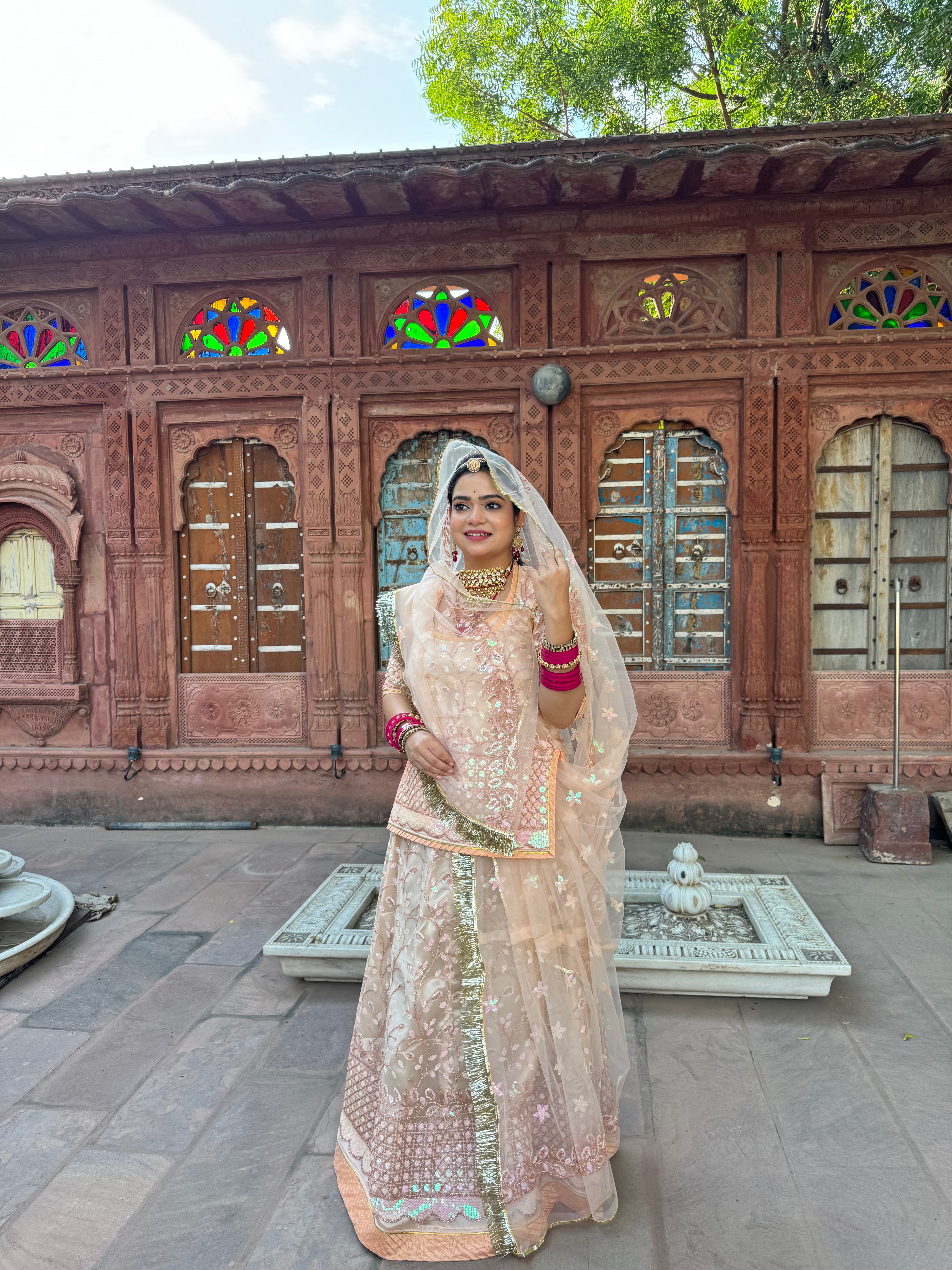 Bindani Blush Elegance: Skin Colour Net Poshak with Net Odhna