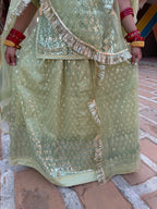 Bindani Graceful Elegance: Pista Green Net Poshak