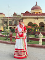 Rang Fagunia : Organza Poshak