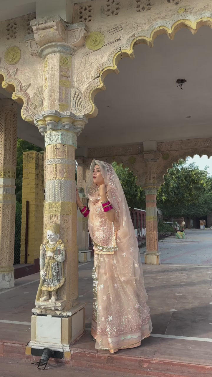 Bindani Blush Elegance: Skin Colour Net Poshak with Net Odhna